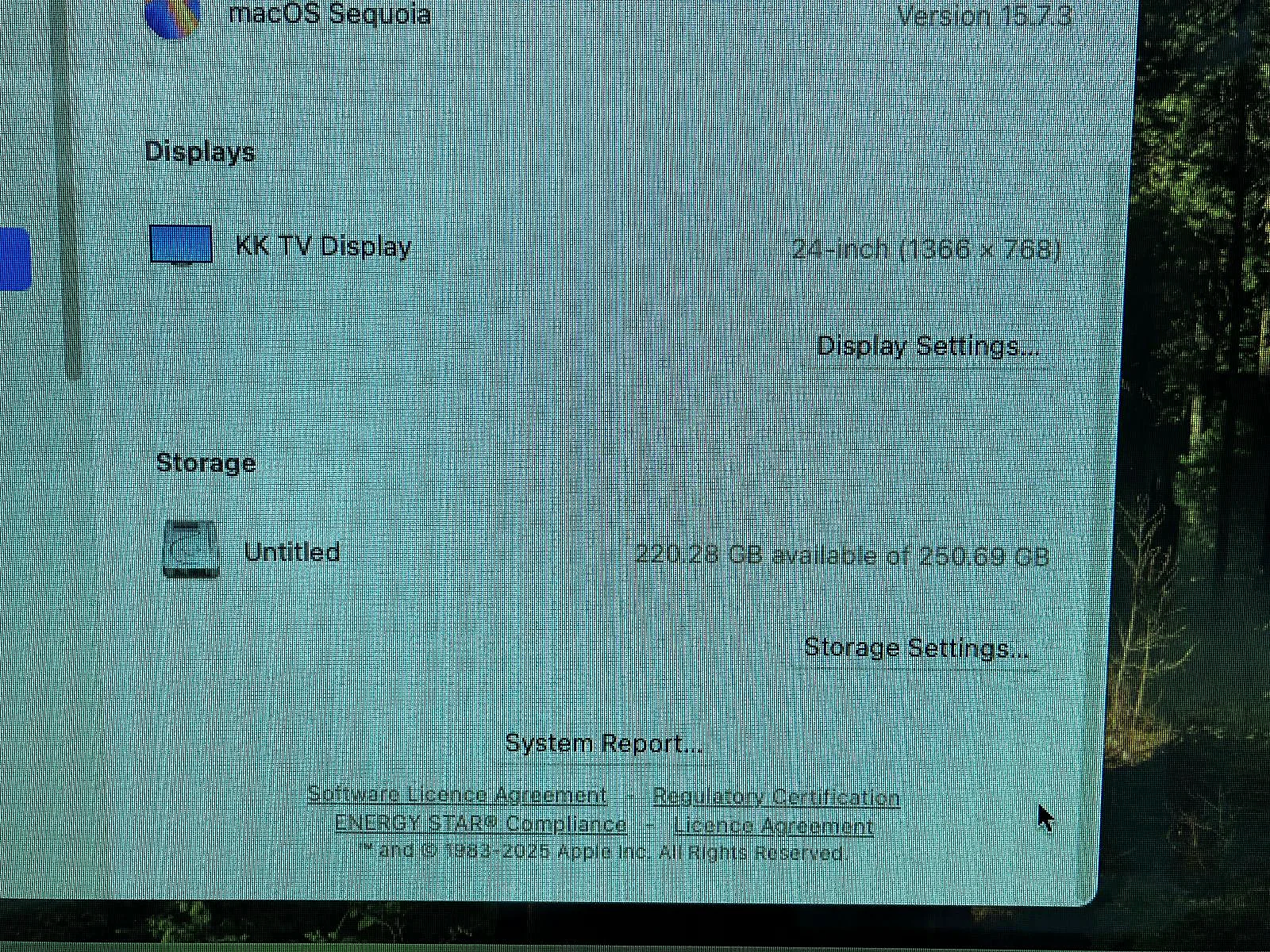 Apple Mac Mini 3 GHz 6-Core Intel Core i5 (2018) 8GB / 256GB SSD gallery thumbnail 5